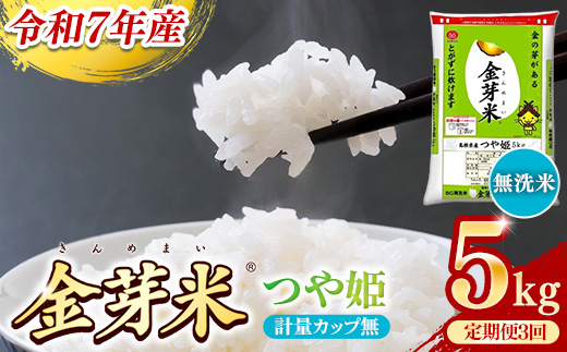 BG無洗米・金芽米つや姫 5kg×3ヵ月 定期便【毎月】計量カップ無し【令和7年産 時短 健康 特別栽培米 うまみ 甘み 栄養 おいしい 粒ぞろい ふっくら ビタミン ミネラル 島根県 安来市】【価格改定X】 つや姫　計量カップなし