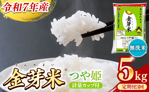 BG無洗米・金芽米つや姫 5kg×3ヵ月 定期便【毎月】計量カップ付き【令和7年産 時短 健康 特別栽培米 うまみ 甘み 栄養 おいしい 粒ぞろい ふっくら ビタミン ミネラル 島根県 安来市】【価格改定X】 つや姫　計量カップ付き
