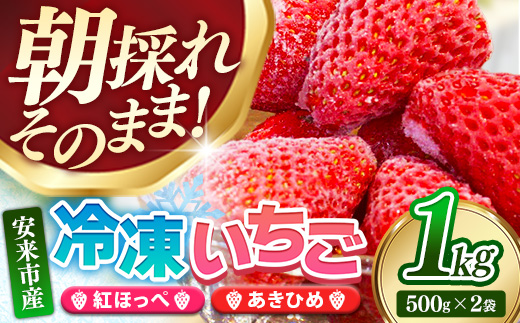 冷凍いちご （ヘタカット済み 500gの小分け袋 x 2個入り）【苺 イチゴ 冷凍 果物 フルーツ 完熟 甘い 紅ほっぺ あきひめ ジャム シャーベット スムージー 島根県 安来市 安来市産】
