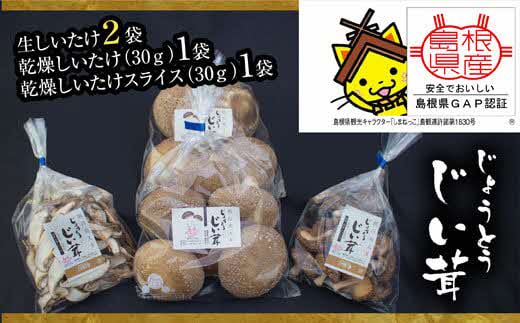 じょうとうじい茸2袋セット【しいたけ 椎茸 城東化成 乾燥しいたけ 干ししいたけ スライス きのこ キノコ セット 安全 おいしい 国産 島根県 安来市】