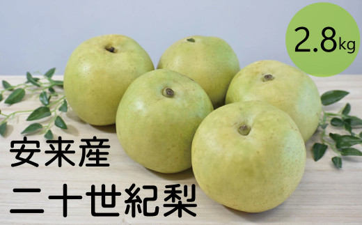 二十世紀梨 2.8kg【先行受付 2025年発送 梨 なし ナシ 20世紀 美味しい みずみずしい 期間限定 先行予約】