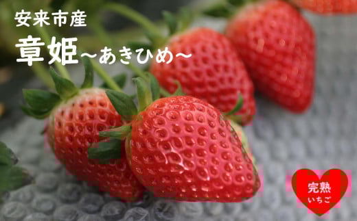 いちご 章姫 2パックセット［島根県安来産　完熟いちご］【 先行予約 受付 完熟 苺 イチゴ 島根県産 甘い 人気 特産品 高級 フルーツ デザート 】
