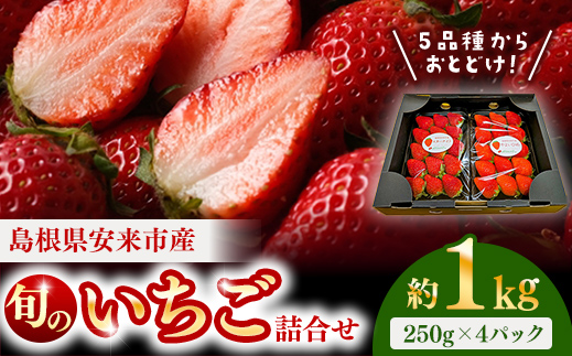 【先行予約】農場長厳選の美味しいいちご 1000g【250g×4パック 苺 詰め合わせ 厳選 フルーツ 果物 かおり野 紅ほっぺ よつぼし スターナイト すず 甘味 セット 化粧箱 島根県 安来市 安来市産】