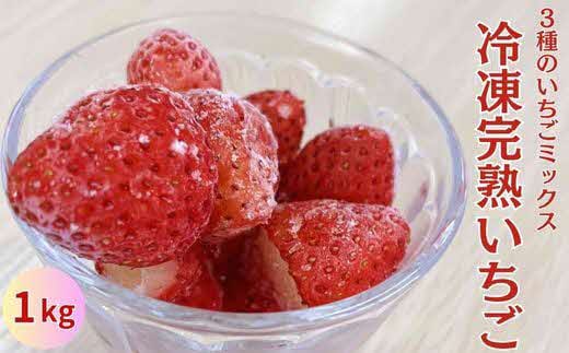 冷凍完熟いちご 1kg【 苺 イチゴ 冷凍 果物 フルーツ ミックス 完熟 かおり野 紅ほっぺ よつぼし 甘味 酸味 甘酸っぱい シャーベット スムージー 島根県 安来市 安来市産】