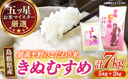 五ツ星お米マイスター厳選 能義平野のきぬむすめ 7kg 【令和7年産 白米 精米 ご飯 美味しい 安心 安全 沼田米穀店 島根県 安来市】【19-NB-03】
