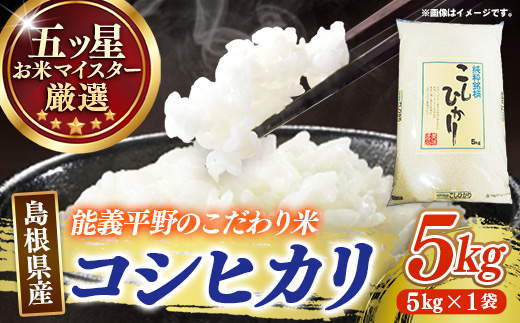 五ツ星お米マイスター厳選 能義平野のコシヒカリ 5kg 【令和7年産 精米 白米 ご飯 お米 こしひかり 美味しい 安心 安全 沼田米穀店 島根県 安来市】【15-NB-07】