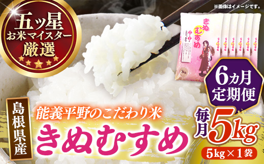 【定期便】五ツ星お米マイスター厳選 能義平野のきぬむすめ 5kg×6ヵ月 【令和7年産 ５KG 6ヶ月 毎月 計30kg 精米 白米 ご飯 お米 美味しい 安心 安全 沼田米穀店 島根県 安来市】【85-NB-11】