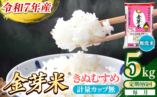 【定期便】BG無洗米・金芽米きぬむすめ 5kg×6ヵ月 （毎月）計量カップ無し【令和7年産 6ヶ月 計30kg 東洋ライス 健康 島根県 安来市】 計量カップ無し