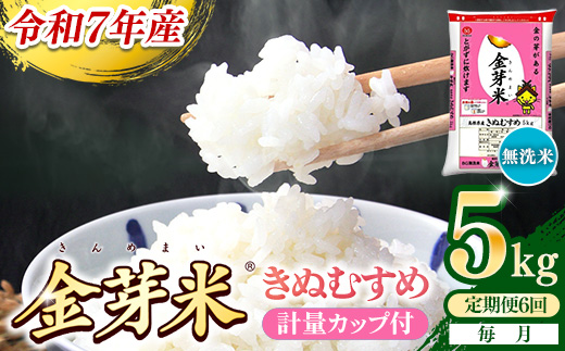【定期便】BG無洗米・金芽米きぬむすめ 5kg×6ヵ月 （毎月）計量カップ付き【令和7年産 6ヶ月 計30kg 東洋ライス 健康 島根県 安来市】 計量カップ付き