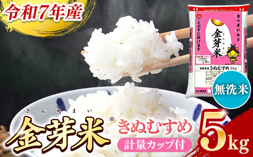 BG無洗米・金芽米きぬむすめ 5kg 計量カップ付き【令和7年産 節水 健康 ビタミン ミネラル つや お弁当 おいしい うまみ 甘み ふっくら 時短 簡単 島根県 安来市】【価格改定XA】 きぬむすめ　計量カップ付き