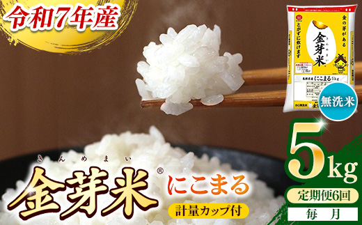 【定期便】BG無洗米・金芽米にこまる 5kg×6ヵ月 （毎月）計量カップ付き【令和7年産 6ヶ月 計30kg 東洋ライス 健康 島根県 安来市】 計量カップ付き