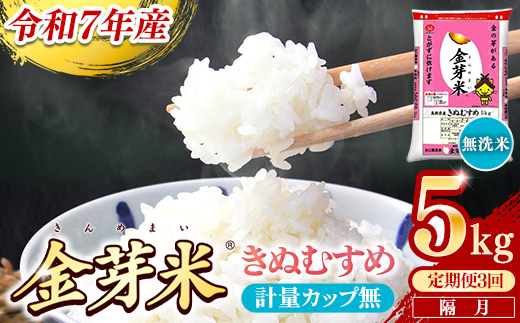 【定期便】BG無洗米・金芽米きぬむすめ 5kg×3回 （隔月）計量カップ無し【令和7年産 2ヶ月に1回 6ヶ月 計15kg 東洋ライス 健康 島根県 安来市】 きぬむすめ　計量カップ無し