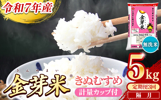 【定期便】BG無洗米・金芽米きぬむすめ 5kg×3回 （隔月）計量カップ付き【令和7年産 2ヶ月に1回 6ヶ月 計15kg 東洋ライス 健康 島根県 安来市】 きぬむすめ　計量カップ付き