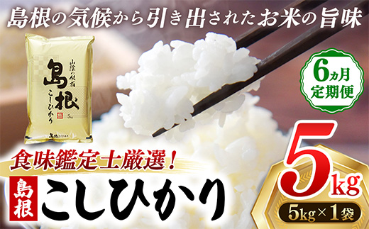 【定期便 6か月】食味鑑定士厳選　島根こしひかり 5kg（5kg×1袋）【白米 コシヒカリ 令和7年産 精米 島根県 安来市】【100-UF-07】
