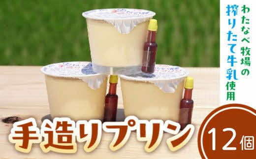 手造りプリン12個セット【冷蔵 ネッカ牛乳 ネッカ卵 蒸しプリン ソース別 素朴 デザート スイーツ おやつ グルメ ご褒美 新鮮 生乳 搾りたて 自然派 島根県 安来市】