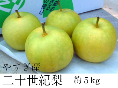 二十世紀梨 5kg