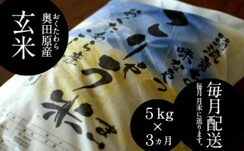 [定期便]安来のお米 こりゃう米(まい)玄米 5kg×3回(毎月) 令和5年産