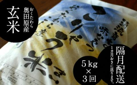 [定期便]安来のお米 こりゃう米(まい)玄米 5kg×3回(隔月) 令和5年産