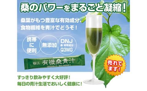 有機桑青汁 セット （3gスティック×30包） × 3箱 KW-6 お茶 茶 桑茶 桑 青汁 食物繊維 無添加 飲料類 飲料 飲み物 健康茶 ミルク 牛乳 加工食品 健康飲料 健康食品 健康 有機JAS認定 送料無料
