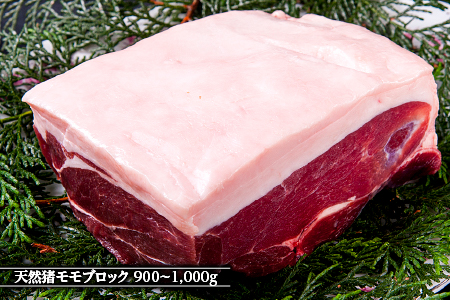 江の川shishi ブロックセット 2.7kg～3kg【AI-3】｜送料無料 国産 ジビエ 天然ジビエ お肉 肉 いのしし肉 イノシシ肉 猪肉 ジビエ イノシシ ジビエ イノシシ ジビエ イノシシ ジビエ イノシシ ジビエ イノシシ ジビエ イノシシ ジビエ イノシシ ジビエ モモ バラ ロース ブロック肉 ブロック ブロックセット セット スジ無し 煮込み用 角煮 焼肉 焼き肉  BBQ 冷凍 希少｜