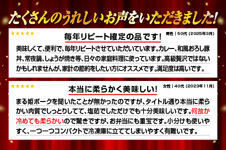 【12/31迄限定寄附額】【定期便5ヶ月】国産豚肉 まる姫ポーク 切り落とし 2.4kg ×5回 配送 【計12kg】 AK-20 小分け 豚肉 切り落とし 冷凍 5ヶ月 定期便