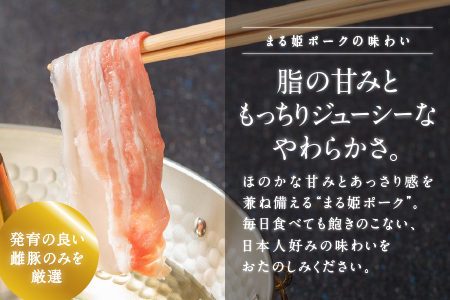 【12/31迄限定寄附額】【 6ヶ月 定期便 】 まる姫ポーク 豚肉三昧 約1.6kg ( 肩ロース バラ モモ切り落とし 粗ミンチ ) 【合計約9.6kg】 AK-6 国産 定期便 まる姫ポーク 豚肉