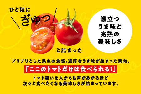 スパルタ生まれの笑ちゃん の トマトジュース 500ｇ×12本 GC-32 笑ちゃん とまとジュース トマトジュース ジュース 野菜飲料 野菜ジュース ミニトマト フルーツトマト とまと トマト