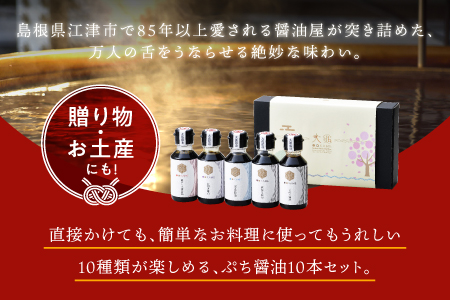 店主おすすめ！ 大亀醤油 ぷち醤油 5種 5本 ( 全100ml 各1本 ) セット 国産 醤油 しょうゆ しょう油 濃口 うす塩醤油 めんつゆ ギフト 贈物 プレゼント YS-19