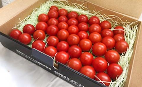 スパルタ生まれの笑ちゃん トマト と トマトジュース セットA 【 フルーツトマト 1kg・ トマトジュース 500g×1本】 GC-3 送料無料 ミニトマト フルーツトマト トマトジュース 野菜ジュース 無添加 野菜 トマト とまと 濃厚 果肉 バラ入り 新鮮 無塩 健康 お弁当 贈物 ギフト プレゼント 産地直送