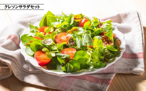 江津クレソン鍋＆クレソンサラダセット【鍋2回分 サラダ1回分 4人前】計約3kg【YS-11】｜国産 まる姫ポーク 豚肉 肉 ロース バラ 肩ロース ゴウツクレソン クレソン ベビーリーフ フルーツトマト つゆドレッシング 柚子醤油 野菜 しゃぶしゃぶ 鍋 送料無料 鍋 しゃぶしゃぶ鍋 しゃぶしゃぶ鍋 しゃぶしゃぶ鍋 しゃぶしゃぶ｜