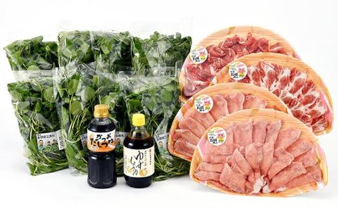 江津クレソン鍋パーティーセット 鍋4回分（計約3.2kg）【YS-13】｜国産 まる姫ポーク 豚肉 肉 豚しゃぶ ロース肉 バラ肉 ロース バラ 豚バラ ゴウツクレソン クレソン かつおだしつゆ 柚子醤油 つゆ 野菜 しゃぶしゃぶ しゃぶしゃぶセット 鍋 送料無料 鍋 しゃぶしゃぶ 鍋 しゃぶしゃぶ 鍋 しゃぶしゃぶ 鍋 しゃぶしゃぶ｜