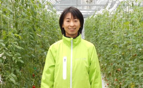 スパルタ生まれのひみこ トマトジュース 180ml×5本 ギフトセット GC-26 フルーツトマト トマト ジュース とまとジュース ミニトマト