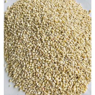 有機もち麦 500g入り×3袋（1500g） 無農薬 有機 有機栽培 もち麦 麦 雑穀 穀類 SS-4