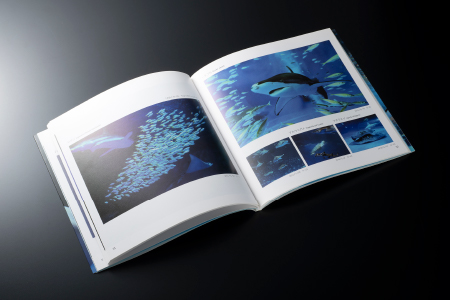 AQUAS アクアスの仲間たち 小林茂雄写真集【KS-1】本 写真集 1冊 雑貨 日用品 しまね海洋館アクアス 海洋館 水族館 海の動物 動物 海の生き物 生き物 イルカ ペンギン サメ エイ 魚 魚介類