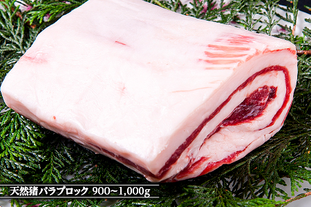 江の川shishi ブロックセット 2.7kg～3kg【AI-3】｜送料無料 国産 ジビエ 天然ジビエ お肉 肉 いのしし肉 イノシシ肉 猪肉 ジビエ イノシシ ジビエ イノシシ ジビエ イノシシ ジビエ イノシシ ジビエ イノシシ ジビエ イノシシ ジビエ イノシシ ジビエ モモ バラ ロース ブロック肉 ブロック ブロックセット セット スジ無し 煮込み用 角煮 焼肉 焼き肉  BBQ 冷凍 希少｜