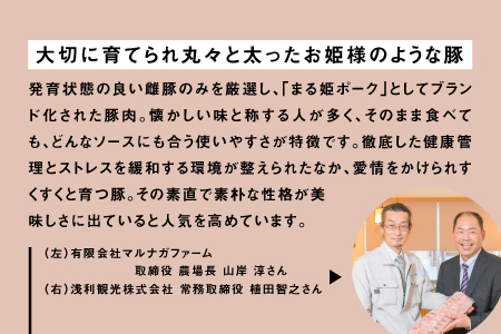 5カ月定期便 まる姫ポーク ヒレブロック（約550g×2）・ローススライス（300g×3）約2kg以上×5回（計約10kg）【AK-42】｜送料無料 国産 まる姫ポーク 豚肉 ぶた肉 ぶたにく 肉 ヒレブロック  ローススライス  肉 豚肉 肉 豚肉 肉 豚肉 肉 豚肉 肉 豚肉 BBQ 定期便 小分け パック 江津市｜