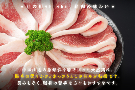 天然猪 江の川shishi 猪モモスライス 焼肉用 500g （ 2～3人前 ） AI-6 いのしし肉 イノシシ肉 猪肉 猪 モモ肉 スライス ジビエ
