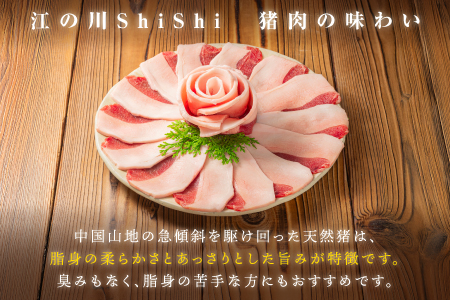 天然猪ローススライス すき焼き用 500g AI-8 肉 猪 猪肉 天然猪 ジビエ 天然ジビエ 国産 天然 ロース ロース肉 スライス すき焼き用 すき焼き 鍋 AI-8