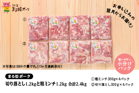【12/31迄限定寄附額】定期便 10ヶ月 まる姫ポーク 豚肉切り落とし1.2kg（300g×4パック）と粗ミンチ1.2kg（300g×4パック）計2.4kg×10回（24kg）【AK-24】国産 まる姫ポーク 豚肉 肉 切り落とし 粗ミンチ