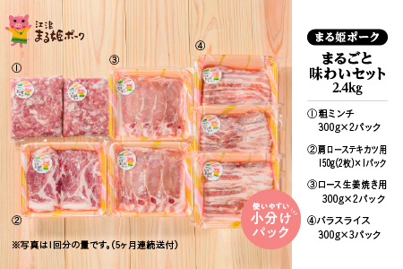 【12/31迄限定寄附額】【 5ヶ月定期便 】 まる姫ポーク 豚肉 まるごと味わいセット 2.4kg （ロース生姜焼き用 肩ローステキカツ用 バラスライス 粗ミンチ）  5回配送 【計12kg】 AK-32