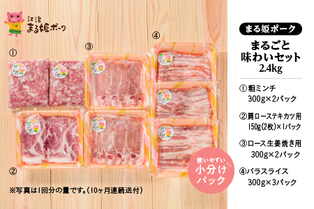 【12/31迄限定寄附額】【 10カ月 定期便 】 まる姫ポーク まるごと味わいセット 2.4kg (ロース生姜焼き用・肩ローステキカツ用・バラスライス・粗ミンチ) 【合計24kg】 豚肉  AK-33