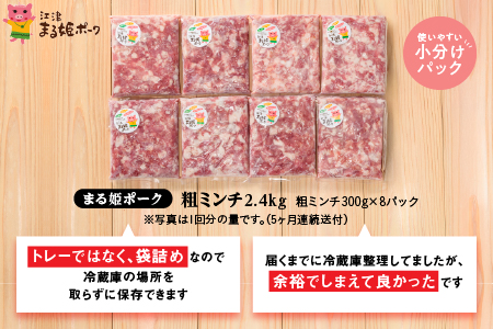 【12/31迄限定寄附額】【 5カ月 定期便 】 まる姫ポーク 豚肉 粗ミンチ 2.4kg × 5回配送 【計12kg】 AK-35 定期 国産 ミンチ 小分け パック 冷凍