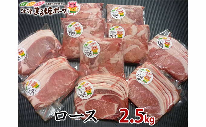 まる姫ポーク 豚ロース生姜焼き用（200g×5）・ロース切り落とし（300g×5）計2.5kg【AK-51】江津市 豚肉 豚