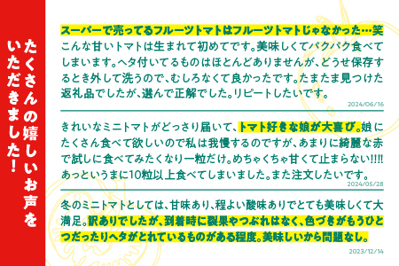 【先行予約】 ☆ 糖度 10度以上 ☆ 厳選 スパルタ生まれのひみこ ミニトマト 約1kg 【GC-36】 お届け：4月中旬～6月中旬ごろ順次発送