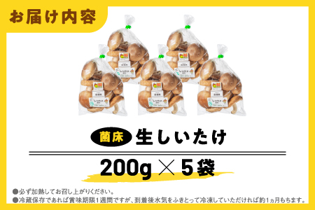 【先行予約】【農家直送】 江津市産 菌床 生しいたけ 200g×5袋 (計1kg) 【2026年11月～4月より順次発送】 GO-2 ｜ 江津市産 国産 生 椎茸 シイタケ しいたけ 菌床椎茸 菌床 肉厚 小分け 食べ応え 厚い 肉厚 うまみ 香り 濃厚 旨味 栄養豊富 食物繊維 低カロリー 鍋 炒め物 煮物 グリル 炊き込みご飯 家庭用