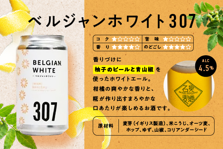石見麦酒 2種4本 と レッドチキンカレー 2袋 セットB 350ml×4本 【配送不可：離島】 IB-12 クラフトビール 飲み比べ カレー付