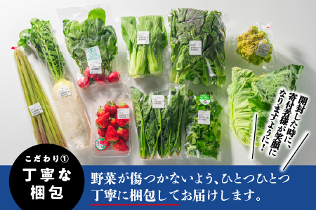 【期間限定】 新鮮 愛情たっぷり 果物 ＆ 野菜 セット 詰め合わせ 産地直送 おまかせ やさい 果物 旬 季節 SP-1