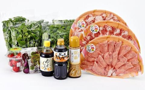 江津クレソン鍋＆クレソンサラダセット【鍋2回分 サラダ1回分 4人前】計約3kg【YS-11】｜国産 まる姫ポーク 豚肉 肉 ロース バラ 肩ロース ゴウツクレソン クレソン ベビーリーフ フルーツトマト つゆドレッシング 柚子醤油 野菜 しゃぶしゃぶ 鍋 送料無料 鍋 しゃぶしゃぶ鍋 しゃぶしゃぶ鍋 しゃぶしゃぶ鍋 しゃぶしゃぶ｜
