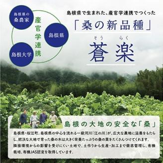 蒼楽セット（7g×30包）×3箱【KW-5】｜お茶 茶 桑茶 桑 蒼楽 粉末桑茶 飲料類 飲料 飲み物 健康茶 機能性表示食品 食物繊維 血糖値 中性脂肪 健康 送料無料｜