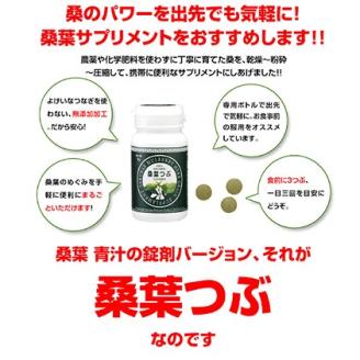 有機桑葉つぶ セット （360粒×3本） KW-9 有機 桑葉 つぶ 桑葉 桑茶 桑 青汁 サプリメント 無添加 DNJ Q3MG 桑のパワー タブレット 便利 凝縮 健康 送料無料 粒 錠剤